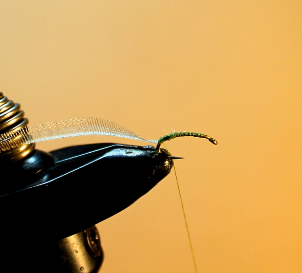 Tying the MKCaddis Pupa Fly | Hatch Magazine - Fly Fishing, etc.